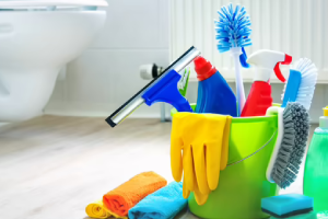 Messie Reinigung Singen (hohentwiel)