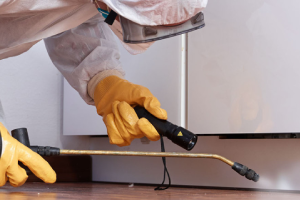 Messie Schädlingsbekämpfung Singen (hohentwiel)